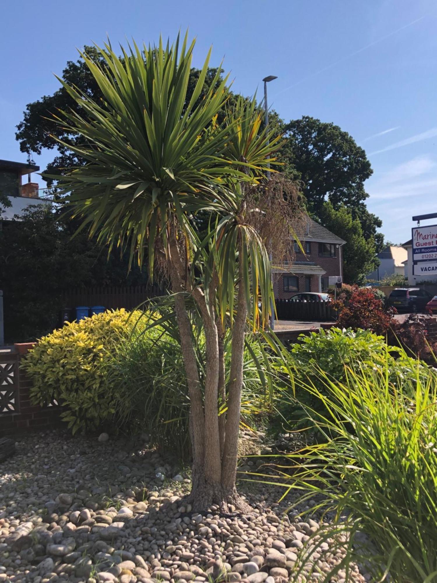 The Mariners Guest House Poole Exterior photo
